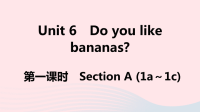江西省初中英语七年级上册Unit6Doyoulikebananas第一课时课件 人教新目标版