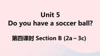 江西省初中英语七年级上册Unit5Doyouhaveasoccerball第四课时课件 人教新目标版