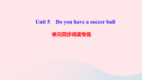 七年级英语上册Unit5Doyouhaveasoccerball单元同步阅读专练课件新版人教新目标版