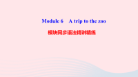七年级英语上册Module6Atriptothezoo模块同步语法精讲精练课件新版外研版