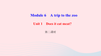 七年级英语上Unit1Doesiteatmeat第2课时作业课件新版外研版