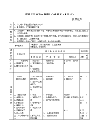 体育与健康人教版五年级-水平三正面双手向前投实心球教案