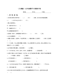 人教版小学五年级下册数学期中试卷 (5)