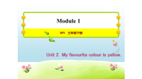 习题课件    Module1 Unit2 My favourite color is yellow