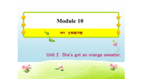 3B习题课件 Unit 2 Shes got an orange sweater  外研版(共14张PPT)