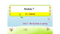 三年级下册英语习题课件   Unit 1  We fly kites in spring    外研版(共13张PPT)
