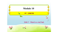 三年级下册英语习题课件   Unit 1 Heres a red hat  外研版(共14张PPT)