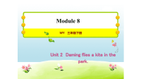 习题课件   Unit 2   Daming flies a kite in the park   外研版