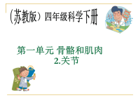 苏教小学科学四下1.2关节一