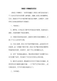 《绝招》评课稿范文范文