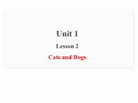 三年级下册英语课件 Lesson  2 Cats and Dogs 冀教版(共16张PPT)