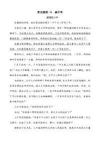 统编版五年级下册语文类文阅读-14 刷子李