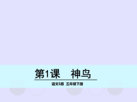 五年级下册语文名师精品课件－1 神鸟∣语文S版