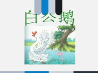 小学三年级下册第六册语文课件PPT-白公鹅_鲁教版