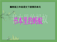 冀教版小学三年级语文下册课件PPT-18 书本里的蚂蚁