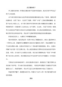 部编版下册语文四年级下册3天窗 （类文）