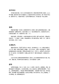 新部编版语文五年级上册备课素材-7 什么比猎豹的速度更快-文字说明
