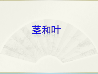 小学科学教科版四年级下册第一单元第4课《茎和叶》课件