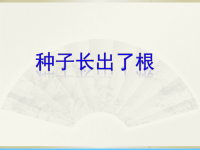 小学科学教科版四年级下册第一单元第3课《种子长出了根》课件