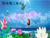 教科版三年级下册科学《水珠从哪里来》课件 (20)