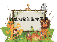 教科版三年级下册科学《其他动物的生命周期》课件 (13)
