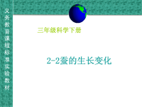 教科版三年级下册科学《蚕的生长变化》课件  (6)