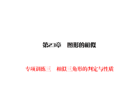 华师版九年级上册数学同步练习课件-第23章 图形的相似-专项训练3相似三角形的判定与性质
