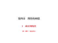 北师大版数学九年级上册同步练习课件-第4章 图形的相似-第4章 1 第1课时线段的比例