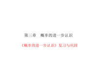 北师大版数学九年级上册同步练习课件-第3章 -《概率的进一步认识》复习与巩固