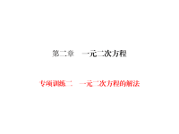 北师大版数学九年级上册同步练习课件-第2章 一元二次方程的解法-专项训练2