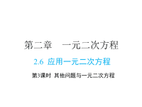 北师大版数学九年级上册同步课件-2第二章-2 其他问题与一元二次方程