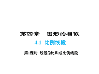北师大版数学九年级上册同步课件-4第四章-4 比例线段