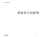 人教版小学三年级下册科学1观察春天的植物