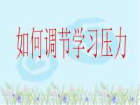 班主任资料：如何调节学习压力