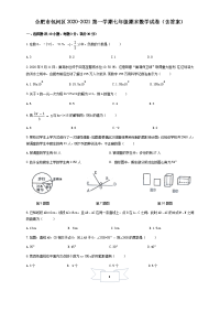 安徽合肥市包河区2020-2021学年第一学期七年级期末数学试卷（含答案）