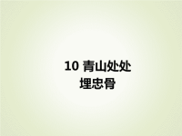 部编版五年级下册语文10  青山处处埋忠骨（预习课件）