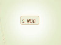 人教部编版小学四年级下册语文课件5 琥珀