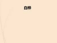 人教部编版小学四年级下册语文11 白桦 预习课件