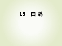 人教部编版小学四年级下册语文课后作业课件15 白鹅