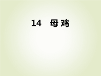 人教部编版小学四年级下册语文课后作业课件14 母鸡