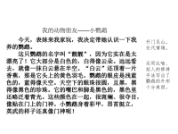 人教部编版小学四年级下册语文课件范文1：我的动物朋友——小鹦鹉