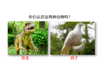 人教部编版小学四年级下册语文课件6 飞向蓝天的恐龙