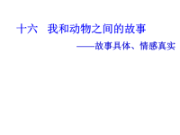 小学四年级作文教学课件（16） 我和动物之间的故事