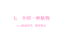 小学三年级作文教学课件七++介绍一种植物