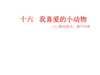 小学作文教学课件：我喜爱的小动物