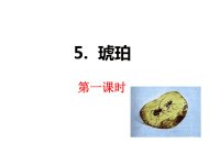 部编人教版语文 小学四年级下册教学课件5 琥珀