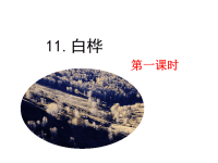 部编人教版语文 小学四年级下册教学课件11 白桦