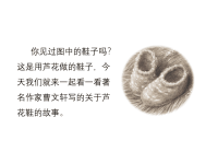 人教部编版语文四年级下册教学课件-20 芦花鞋