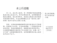 人教部编版语文四年级下册教学课件-范文1：水上行走鞋