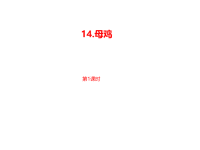 部编人教版语文 四年级下册教学课件-第4单元第14课《母鸡》课时1